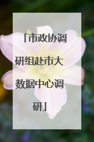 市政协调研组赴市大数据中心调研