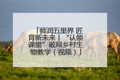 师润五里界 匠育新未来丨“认领课堂”破局乡村生物教学（视频）