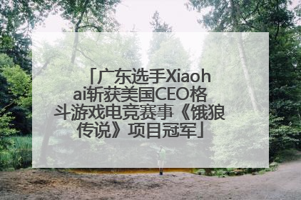 广东选手Xiaohai斩获美国CEO格斗游戏电竞赛事《饿狼传说》项目冠军