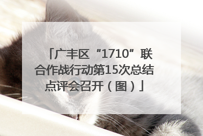 广丰区“1710”联合作战行动第15次总结点评会召开（图）