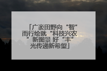 广袤田野向“智”而行绘就“科技兴农”新图景 好“丰”光传递新希望