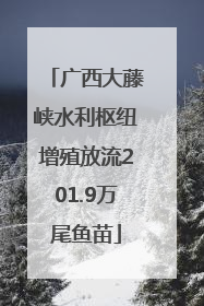 广西大藤峡水利枢纽增殖放流201.9万尾鱼苗