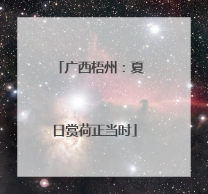 广西梧州：夏日赏荷正当时