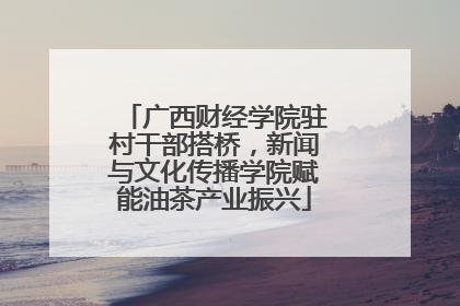 广西财经学院驻村干部搭桥，新闻与文化传播学院赋能油茶产业振兴