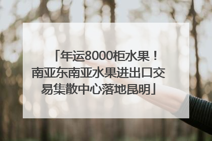 年运8000柜水果！南亚东南亚水果进出口交易集散中心落地昆明