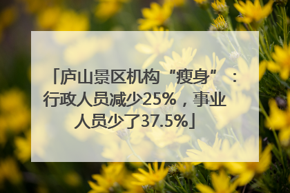 庐山景区机构“瘦身”：行政人员减少25%，事业人员少了37.5%