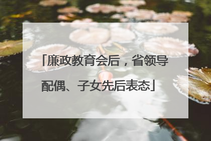 廉政教育会后，省领导配偶、子女先后表态