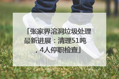 张家界溶洞垃圾处理最新进展：清理51吨，4人停职检查