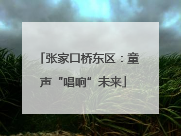 张家口桥东区：童声“唱响”未来