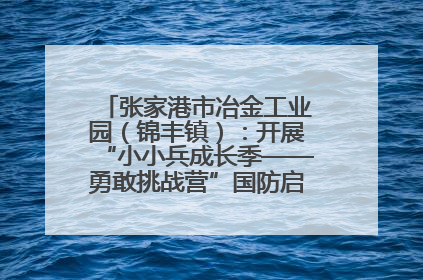 张家港市冶金工业园（锦丰镇）：开展“小小兵成长季——勇敢挑战营”国防启蒙教育活动