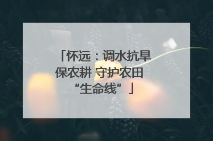 怀远：调水抗旱保农耕 守护农田 “生命线”