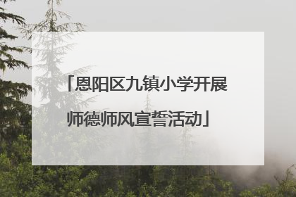 恩阳区九镇小学开展师德师风宣誓活动