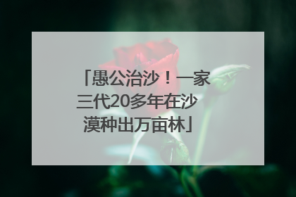 愚公治沙！一家三代20多年在沙漠种出万亩林