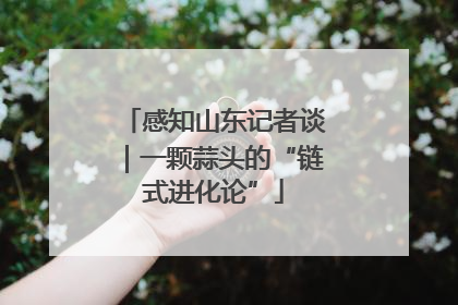 感知山东记者谈｜一颗蒜头的“链式进化论”