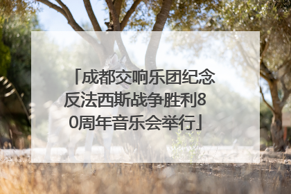 成都交响乐团纪念反法西斯战争胜利80周年音乐会举行