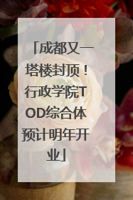 成都又一塔楼封顶！行政学院TOD综合体预计明年开业