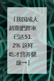 我国成人超重肥胖率已达51.2% 这样吃才营养健康→