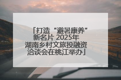 打造“避暑康养”新名片 2025年湖南乡村文旅投融资洽谈会在桃江举办