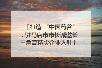 打造 “中国药谷”，驻马店市市长诚邀长三角高精尖企业入驻