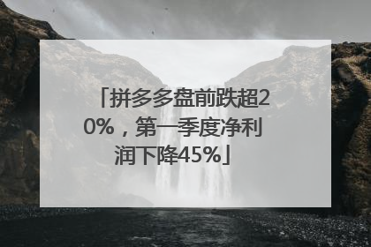 拼多多盘前跌超20%，第一季度净利润下降45%