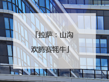 拉萨：山沟欢腾赛牦牛