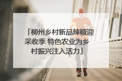 柳州乡村新品辣椒迎采收季 特色农业为乡村振兴注入活力