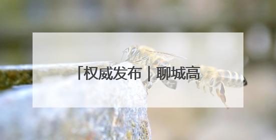 权威发布｜聊城高新区“顾乡平野”片区成为市民城郊休闲全新目的地