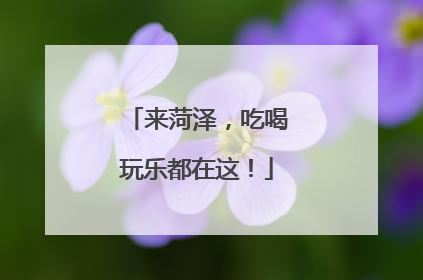 来菏泽，吃喝玩乐都在这！