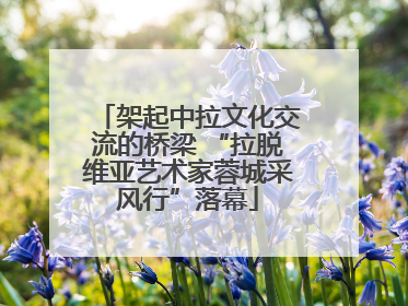 架起中拉文化交流的桥梁 “拉脱维亚艺术家蓉城采风行”落幕