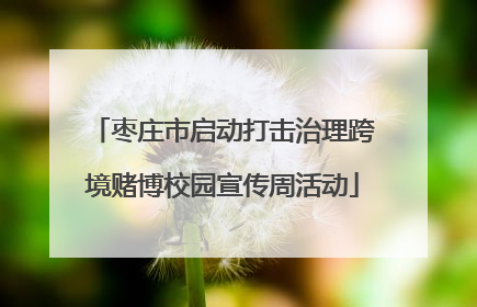 枣庄市启动打击治理跨境赌博校园宣传周活动