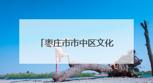 枣庄市市中区文化路街道：粽叶溢飘香 浓浓端午情