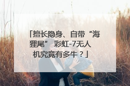 擅长隐身、自带“海狸尾” 彩虹-7无人机究竟有多牛？