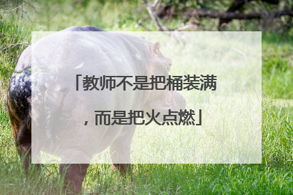 教师不是把桶装满，而是把火点燃