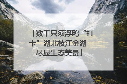 数千只须浮鸥“打卡”湖北枝江金湖 尽显生态美景