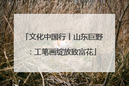 文化中国行丨山东巨野：工笔画绽放致富花