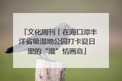 文化周刊丨在海口潭丰洋省级湿地公园打卡夏日里的“湿”情画意