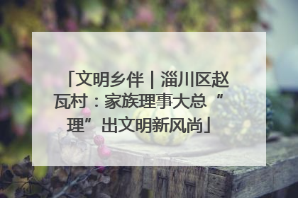 文明乡伴｜淄川区赵瓦村：家族理事大总“理”出文明新风尚