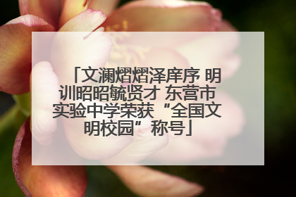文澜熠熠泽庠序 明训昭昭毓贤才 东营市实验中学荣获“全国文明校园”称号