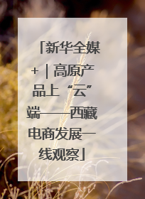 新华全媒+｜高原产品上“云”端——西藏电商发展一线观察