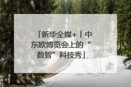 新华全媒+丨中东欧博览会上的“数智”科技秀
