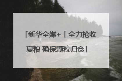 新华全媒+丨全力抢收夏粮 确保颗粒归仓