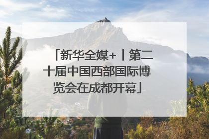 新华全媒+丨第二十届中国西部国际博览会在成都开幕