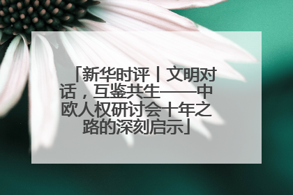 新华时评丨文明对话，互鉴共生——中欧人权研讨会十年之路的深刻启示