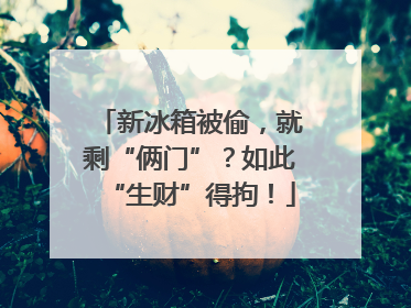 新冰箱被偷，就剩“俩门”？如此“生财”得拘！