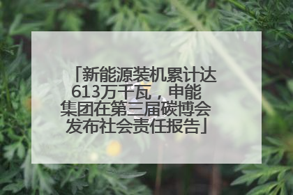 新能源装机累计达613万千瓦，申能集团在第三届碳博会发布社会责任报告