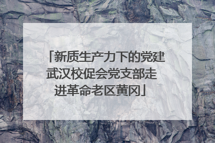 新质生产力下的党建 武汉校促会党支部走进革命老区黄冈
