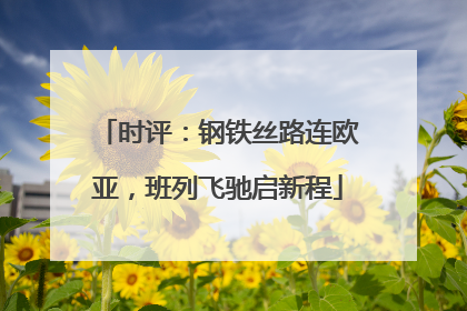 时评：钢铁丝路连欧亚，班列飞驰启新程