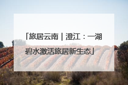 旅居云南｜澄江：一湖碧水激活旅居新生态