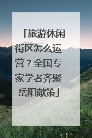 旅游休闲街区怎么运营？全国专家学者齐聚岳阳献策
