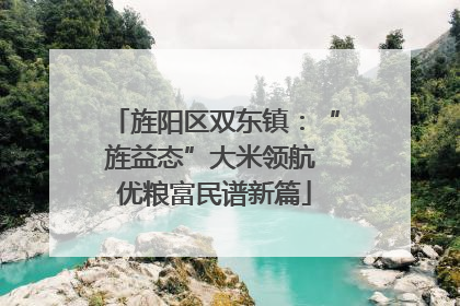 旌阳区双东镇：“旌益态”大米领航 优粮富民谱新篇